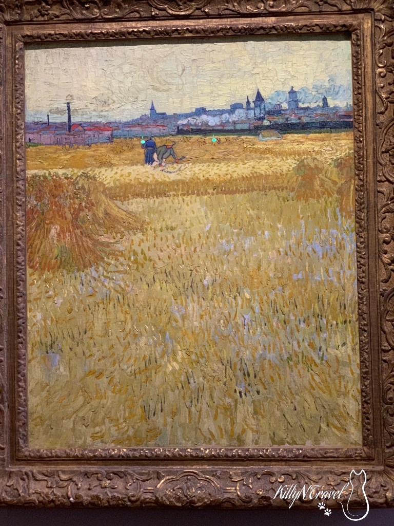 View From the Wheat Fields